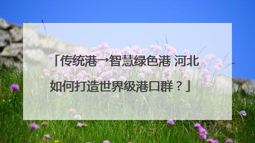 传统港→智慧绿色港 河北如何打造世界级港口群？