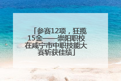 参赛12项，狂揽15金——崇阳职校在咸宁市中职技能大赛斩获佳绩