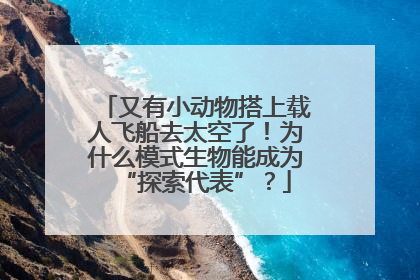 又有小动物搭上载人飞船去太空了！为什么模式生物能成为“探索代表”？