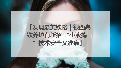 发现最美铁路｜银西高铁养护有新招 “小液捣”技术安全又准确
