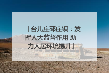 台儿庄邳庄镇：发挥人大监督作用 助力人居环境提升