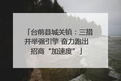 台前县城关镇：三措并举强引擎 奋力跑出招商“加速度”