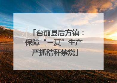 台前县后方镇：保障“三夏”生产 严抓秸秆禁烧