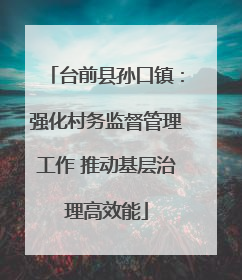 台前县孙口镇：强化村务监督管理工作 推动基层治理高效能