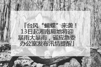 台风“蝴蝶”来袭！13日起湘南局地将迎暴雨大暴雨，省应急委办公室发布汛情提醒