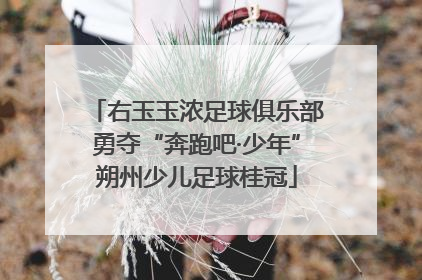 右玉玉浓足球俱乐部勇夺“奔跑吧·少年”朔州少儿足球桂冠