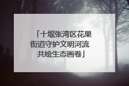 十堰张湾区花果街道守护文明河流 共绘生态画卷