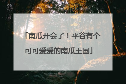 南瓜开会了！平谷有个可可爱爱的南瓜王国