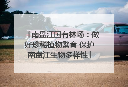 南盘江国有林场：做好珍稀植物繁育 保护南盘江生物多样性