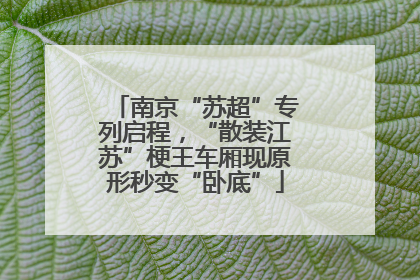 南京“苏超”专列启程，“散装江苏”梗王车厢现原形秒变“卧底”