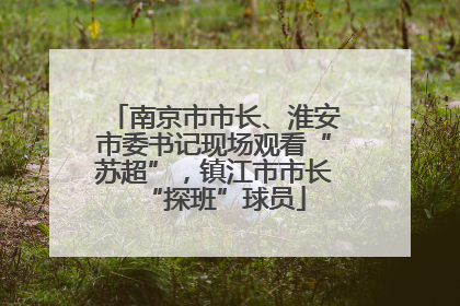 南京市市长、淮安市委书记现场观看“苏超”，镇江市市长“探班”球员