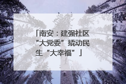 南安：建强社区“大党委”撬动民生“大幸福”