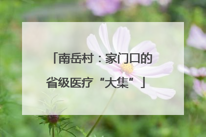南岳村：家门口的省级医疗“大集”