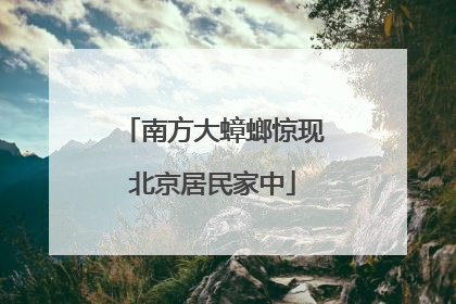 南方大蟑螂惊现北京居民家中