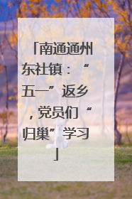 南通通州东社镇：“五一”返乡，党员们“归巢”学习