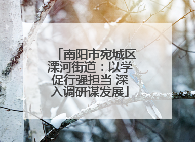 南阳市宛城区溧河街道：以学促行强担当 深入调研谋发展