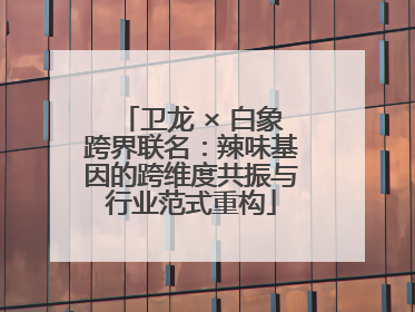 卫龙 × 白象跨界联名：辣味基因的跨维度共振与行业范式重构