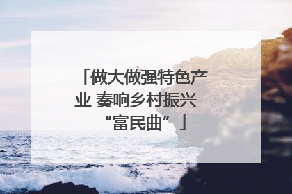 做大做强特色产业 奏响乡村振兴“富民曲”