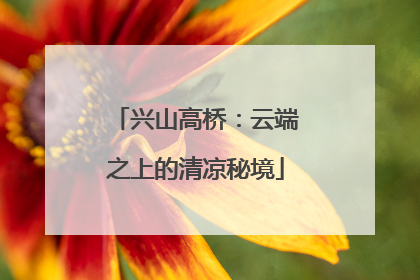 兴山高桥：云端之上的清凉秘境