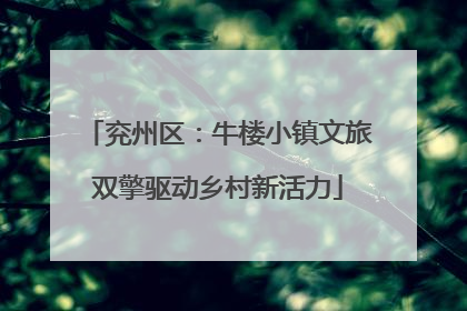 兖州区：牛楼小镇文旅双擎驱动乡村新活力
