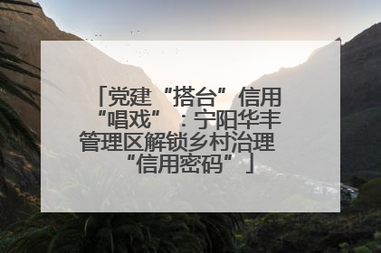 党建“搭台”信用“唱戏”：宁阳华丰管理区解锁乡村治理“信用密码”