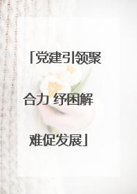 党建引领聚合力 纾困解难促发展