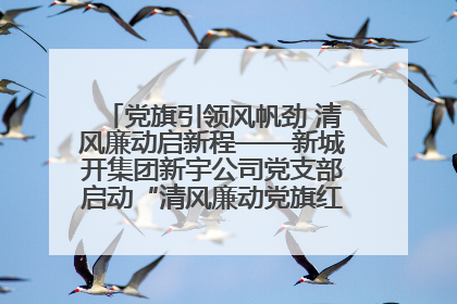党旗引领风帆劲 清风廉动启新程——新城开集团新宇公司党支部启动“清风廉动党旗红”系列活动
