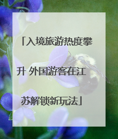 入境旅游热度攀升 外国游客在江苏解锁新玩法