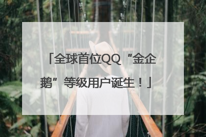 全球首位QQ“金企鹅”等级用户诞生！