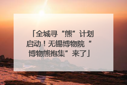 全城寻“熊”计划启动！无锡博物院“博物熊抱集”来了