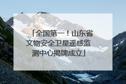 全国第一！山东省文物安全卫星遥感监测中心揭牌成立