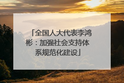 全国人大代表李鸿彬：加强社会支持体系规范化建设