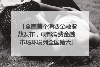 全国首个消费金融指数发布，成都消费金融市场环境列全国第六