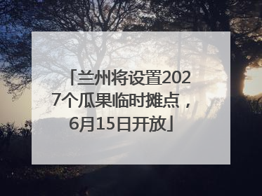 兰州将设置2027个瓜果临时摊点，6月15日开放