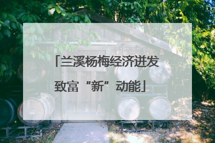 兰溪杨梅经济迸发致富“新”动能