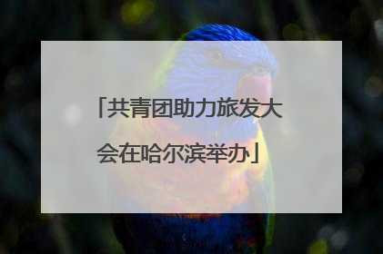 共青团助力旅发大会在哈尔滨举办