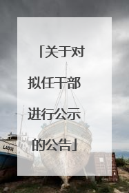 关于对拟任干部进行公示的公告