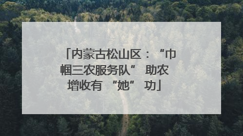 内蒙古松山区：“巾帼三农服务队” 助农增收有 “她” 功