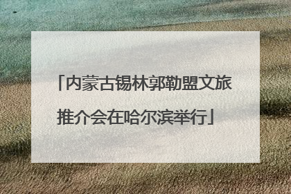 内蒙古锡林郭勒盟文旅推介会在哈尔滨举行