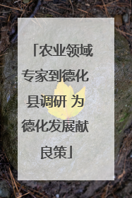 农业领域专家到德化县调研 为德化发展献良策