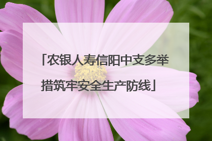 农银人寿信阳中支多举措筑牢安全生产防线
