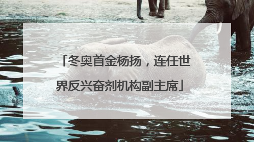 冬奥首金杨扬，连任世界反兴奋剂机构副主席