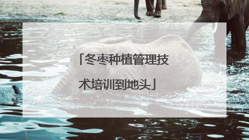 冬枣种植管理技术培训到地头