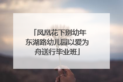 凤凰花下别幼年 东湖路幼儿园以爱为舟送行毕业班