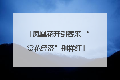 凤凰花开引客来 “赏花经济”别样红
