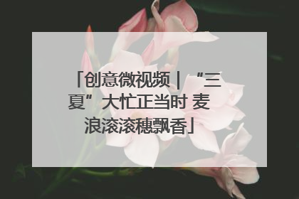 创意微视频｜“三夏”大忙正当时 麦浪滚滚穗飘香
