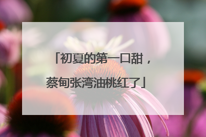 初夏的第一口甜，蔡甸张湾油桃红了