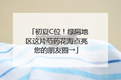 初夏C位！绿隔地区这片芍药花海点亮您的朋友圈→