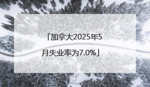 加拿大2025年5月失业率为7.0%