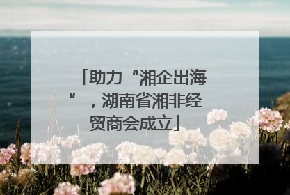 助力“湘企出海”，湖南省湘非经贸商会成立